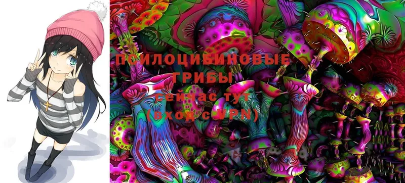 Псилоцибиновые грибы MAGIC MUSHROOMS  гидра рабочий сайт  Кизилюрт 